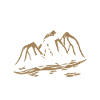MTB Fahrrad