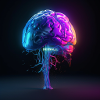 Brain