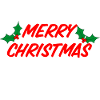 Merry Christmas Ya Filthy Animal