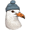 Seafaring Seagull