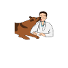 Vétérinaire Médecine vétérinaire vétérinaire