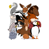 Veterinarian Veterinarian Veterinary Medicine