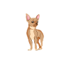 Chihuahua Gifts Chihuahua Owner