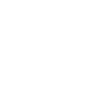 Tulips Single