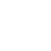 Tulip Flowers