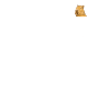 Wasserschwein Capybara