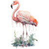 Pink Flamingo