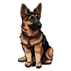 Berger Allemand Malinois