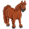 Pummelpony Polly