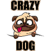 Crazy Dog