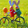 Easter Easter Bunny