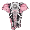 Hako l éléphant