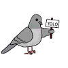 The YOLO Pigeon