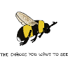 The Bee Of Change