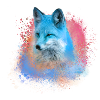 fuchs ,graffiti, peinture,fuchs,aquarelle