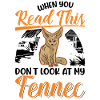 Fennec Gift Desert Fox Fennec