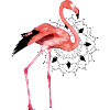 Flamant rose