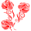 Roses, flowers, garden