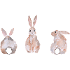 Bunnys