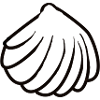muschel