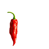 Chili