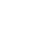 Wedding party