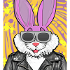 Cool bunny