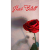 Just Chill/ Rose 🌹