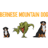 Bernese Mountain Dog