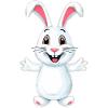 Funny bunny