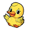 Cute Little Duck Kids Design