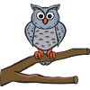 Owl sitting on a branch