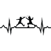 fencing, martial arts, fencing