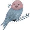 Snowy Owl Illustration