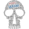 Homo Sapiens Skull