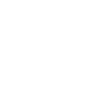 Pistol Gun