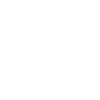 Night Shift Bat