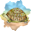 Tortoise
