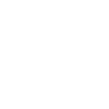 Ethiopia - Lion