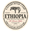Ethiopia - Zebra