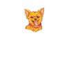 Chihuahua Gifts Chihuahua Owner