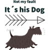 Hunde-Alibi