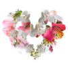 Orchid,Flowers,Flower Heart,Heart