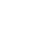 Cat Skull