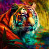 Real King of the Jungle