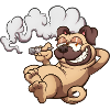 Pug Smoking A Joint