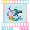 Cute whale - sea life