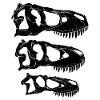 Daspletosaurus Tarbosaurus Tyrannosaurus Rex