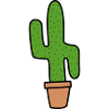Cactus