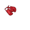 Roll With The Punches Combat Sports